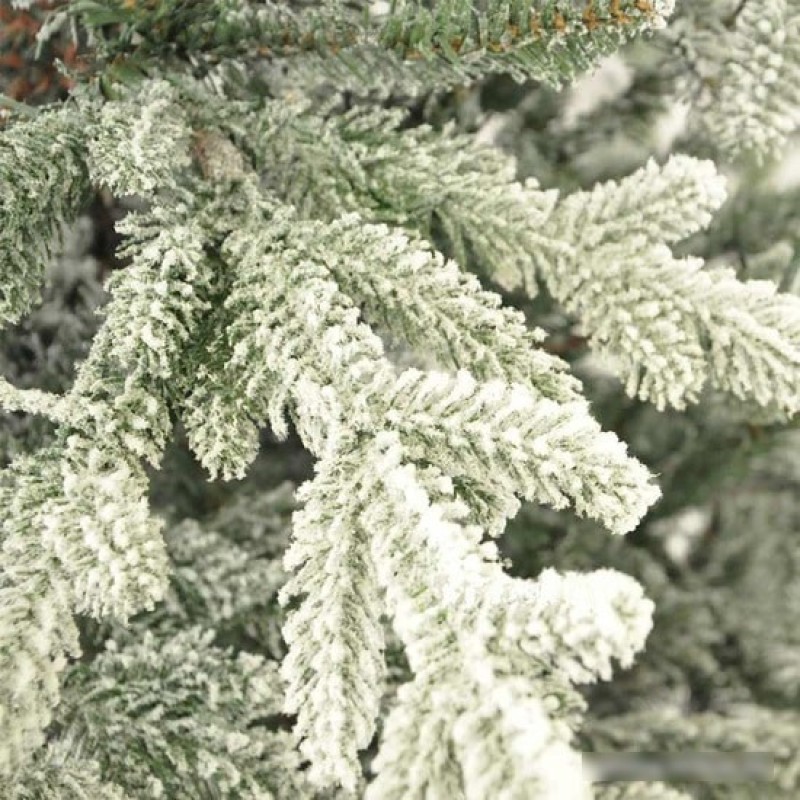 GrandSiti Адель 2.4 м