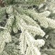 GrandSiti Адель 2.4 м
