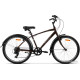 AIST Cruiser 1.0 р.16.5 2024 (коричневый)