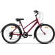 AIST Cruiser 1.0 W р.19 2024 (вишневый)