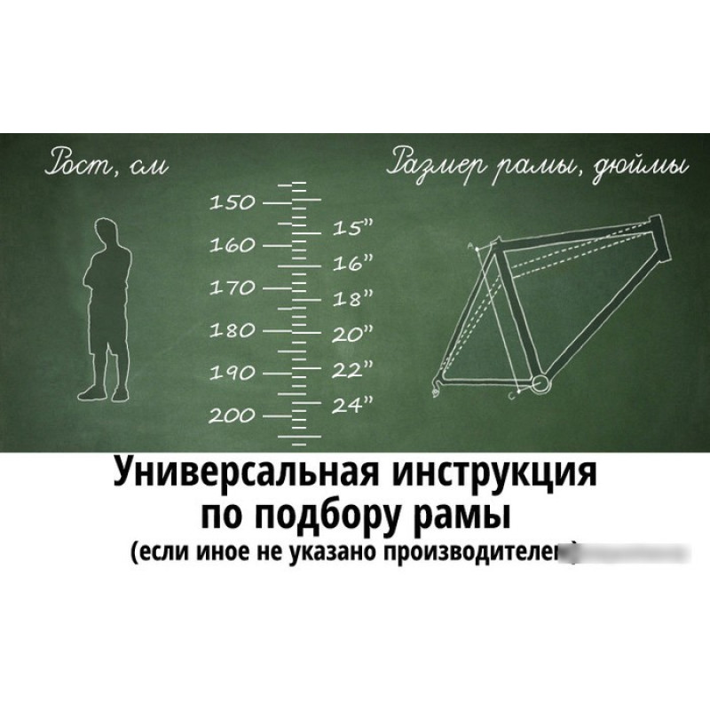 Krakken Fortuna 2023 (черный/желтый)