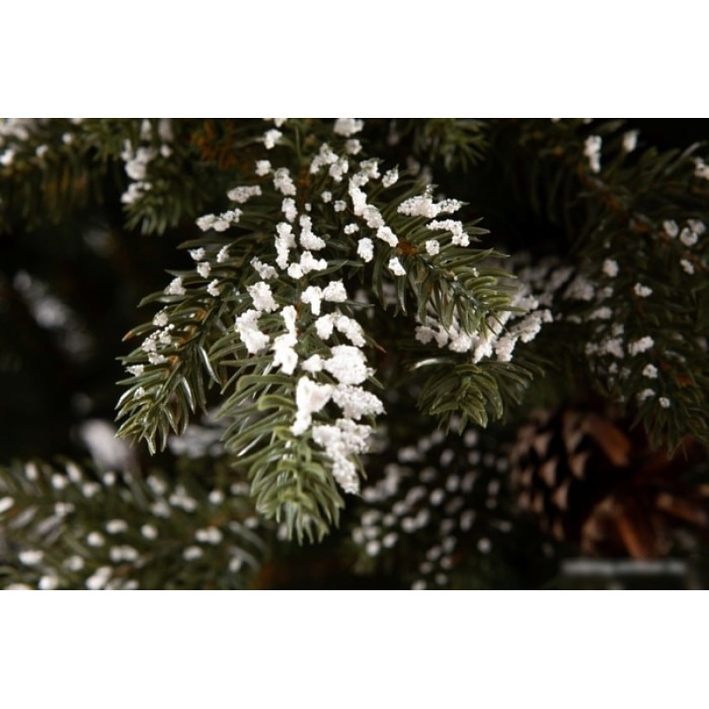 GreenTerra Квебек 1.8 м