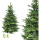 GreenTerra Милтон 2.4 м