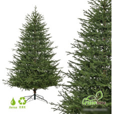 Ель GreenTerra Вилтони 2.1 м