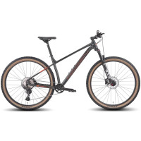 Велосипед Hagen 3.11 29 L 2025 (черный металлик)
