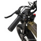 Smart Balance Hunter 2024 (золотистый)