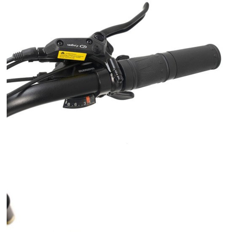 Smart Balance Hunter 2024 (золотистый)