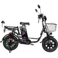 Электровелосипед Smart Balance Master 2025