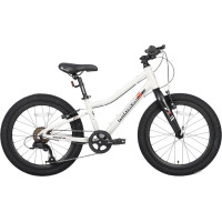 Детский велосипед Maxiscoo 3bike 20 L 2025 MSC-M3-2003 (серый, разобранный)