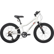 Детский велосипед Maxiscoo 3bike 20 L 2025 MSC-M3-2003 (серый, разобранный)