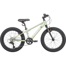 Детский велосипед Maxiscoo 5bike 20 M200 2025 MSC-M5-2011 (хаки, разобранный)