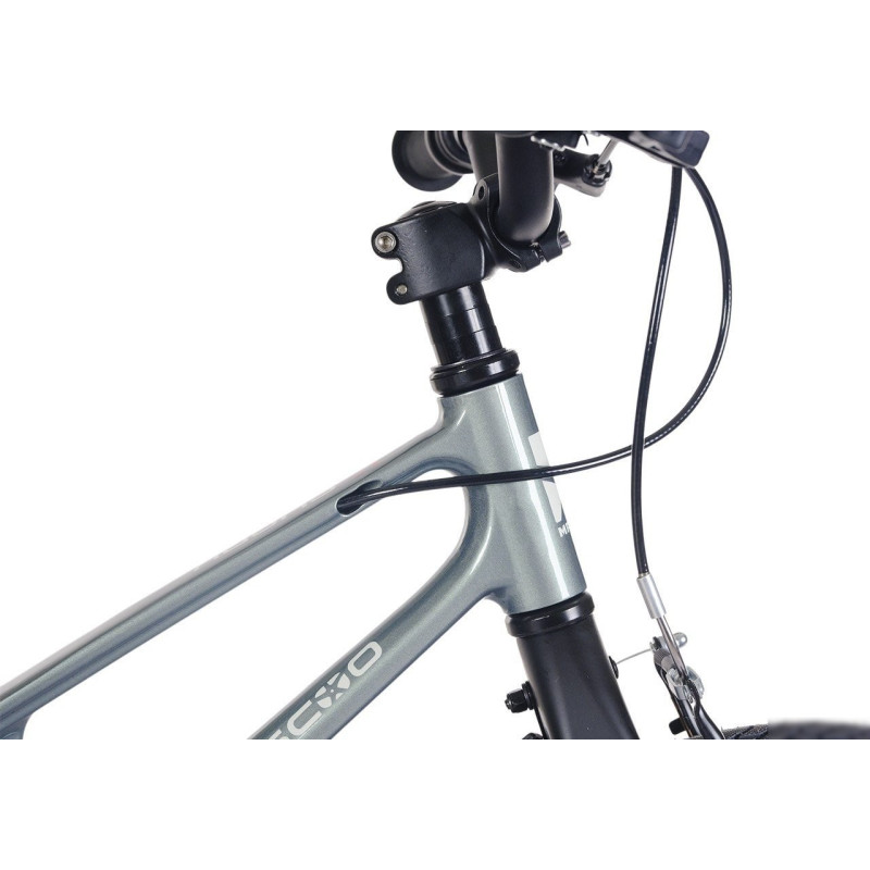 Maxiscoo Shark Sport 16 2025 MSC-SH1641 (графит)