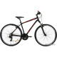 AIST Cross 1.0 р.19 2021
