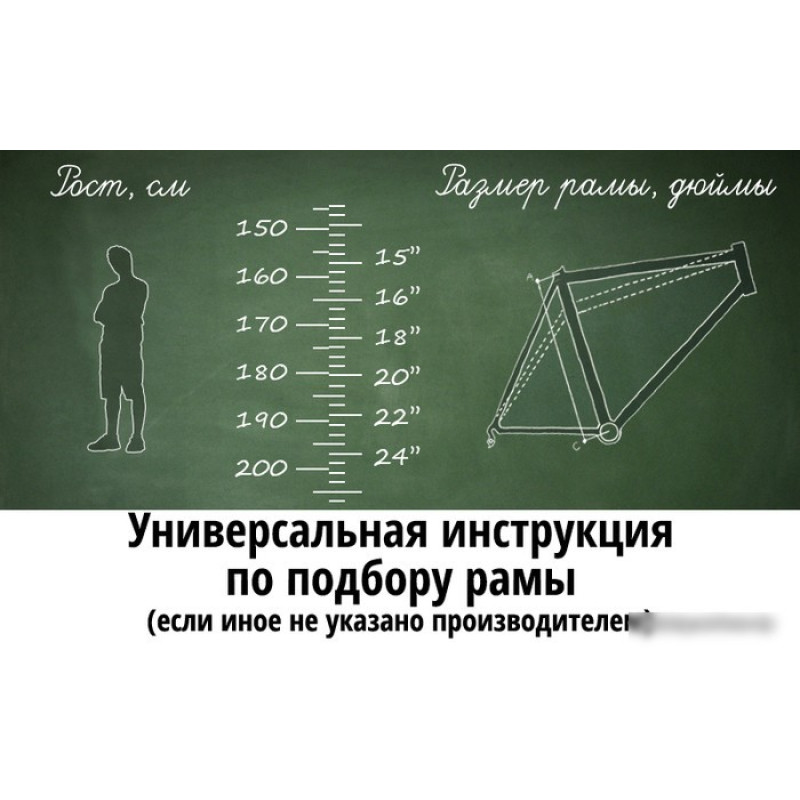 AIST Cross 1.0 р.19 2021