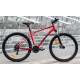 GT Aggressor Sport 29 S 2025 (красный)