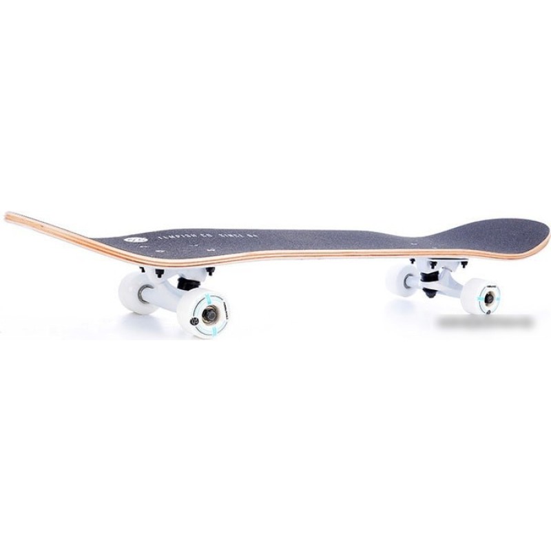 Tempish Blue Wolf