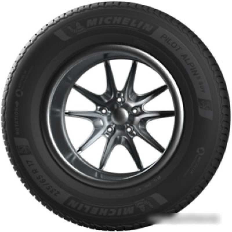 Michelin Pilot Alpin 5 SUV 285/45R21 113V