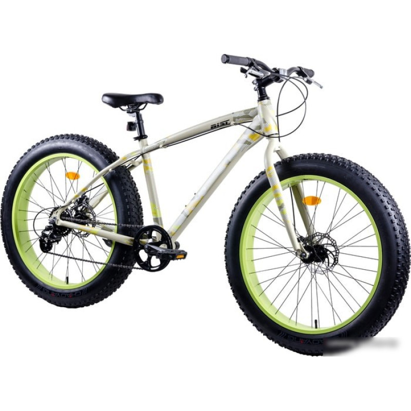 AIST FBS (2019)
