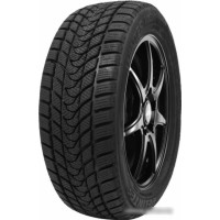 Автомобильные шины Delinte Winter WD1 275/40R19 101H