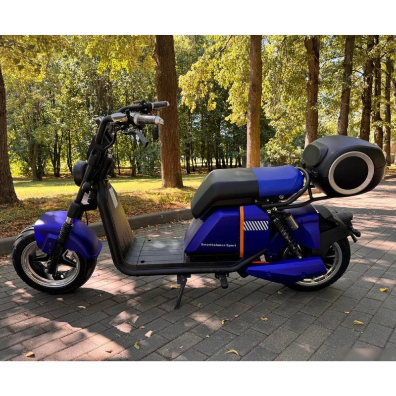 Smart Balance Sport 2024 (синий)