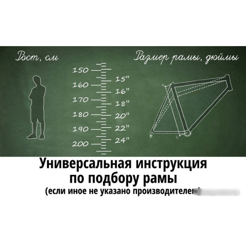 Arena Storm 26 р.18 2024 (серый)