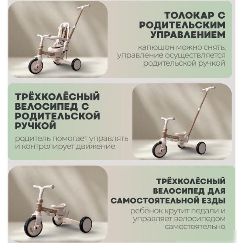 Bubago Malanka BG 211-2 (коричневый)