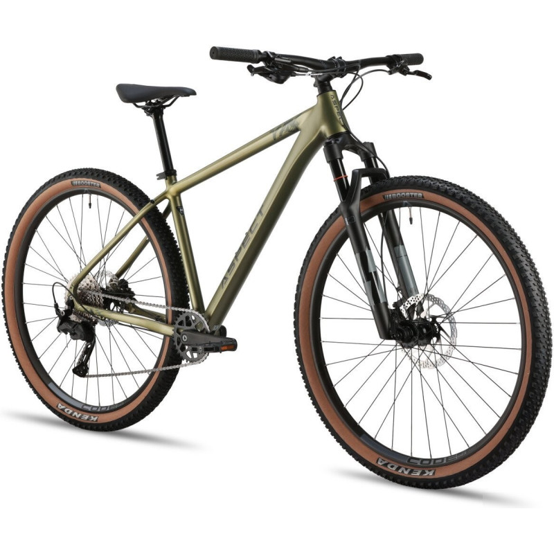 Aspect Cobalt 29 M 2026 (зеленый)