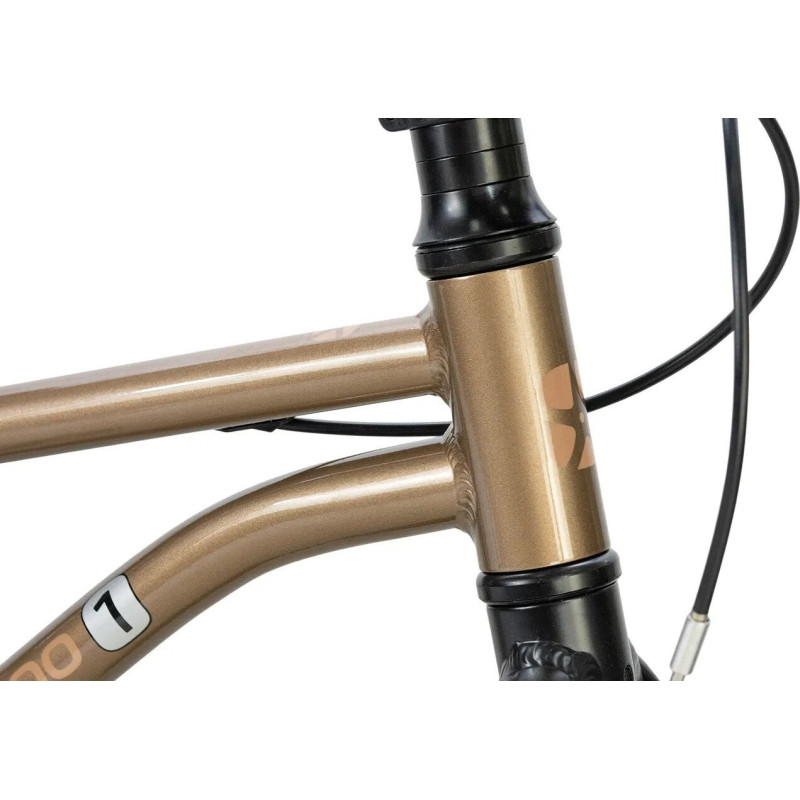 Maxiscoo 1BIKE 16 2026 MSC-M1-1652 (бронзовый матовый, разобранный)