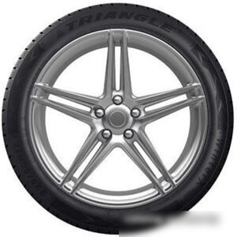 Triangle TW401 195/55R20 95H