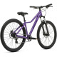 Welt Bianca 2.0 27 HD S 2026 (sparkling violet)