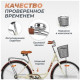 AIST 28-245 2023 (бежевый)