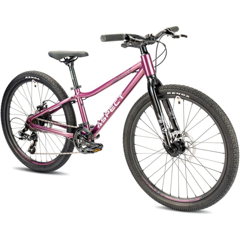 Aspect Aura Lite 24 2026 (фиолетовый)