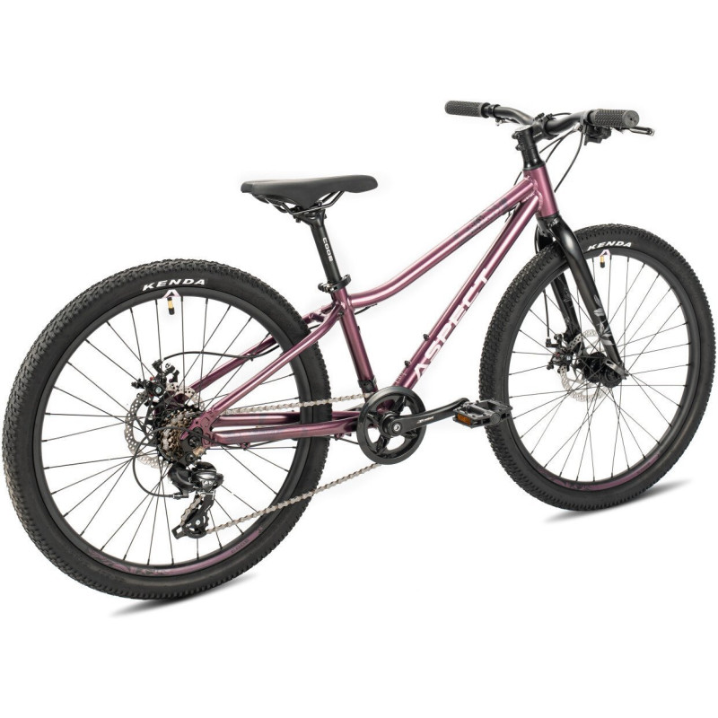 Aspect Aura Lite 24 2026 (фиолетовый)