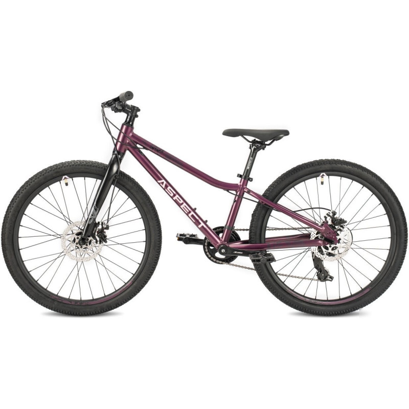 Aspect Aura Lite 24 2026 (фиолетовый)