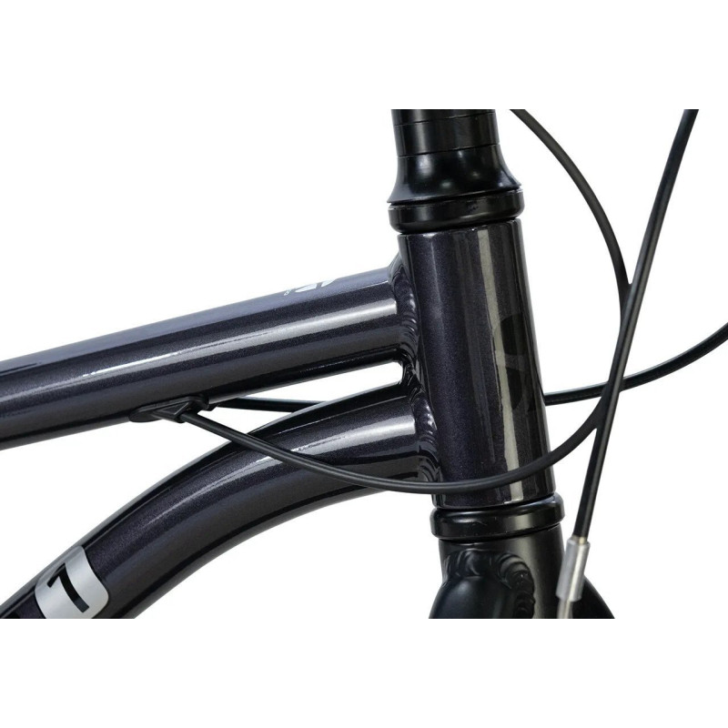 Maxiscoo 1Bike 24 2026 MSC-M1-2451 (индиго)