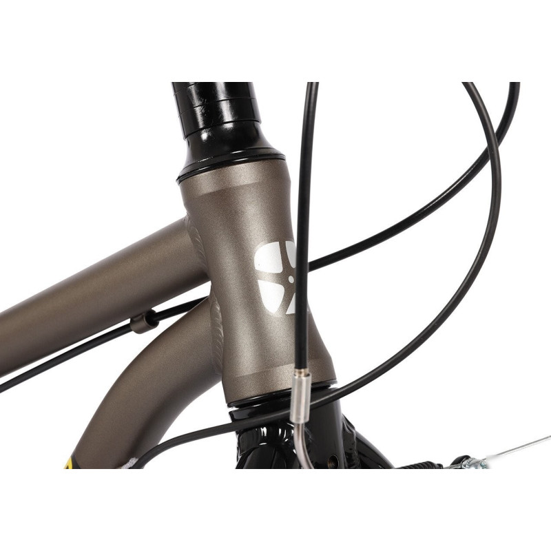 Maxiscoo 3bike 24 M 2026 MSC-M3-2422 (коричневый матовый)