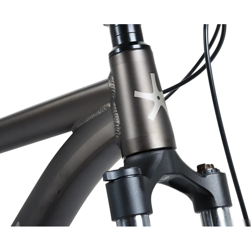 Maxiscoo 3BIKE 29 M330 р.20 2026 MSC-M3-2922-20 (бронзовый матовый, разобранный)