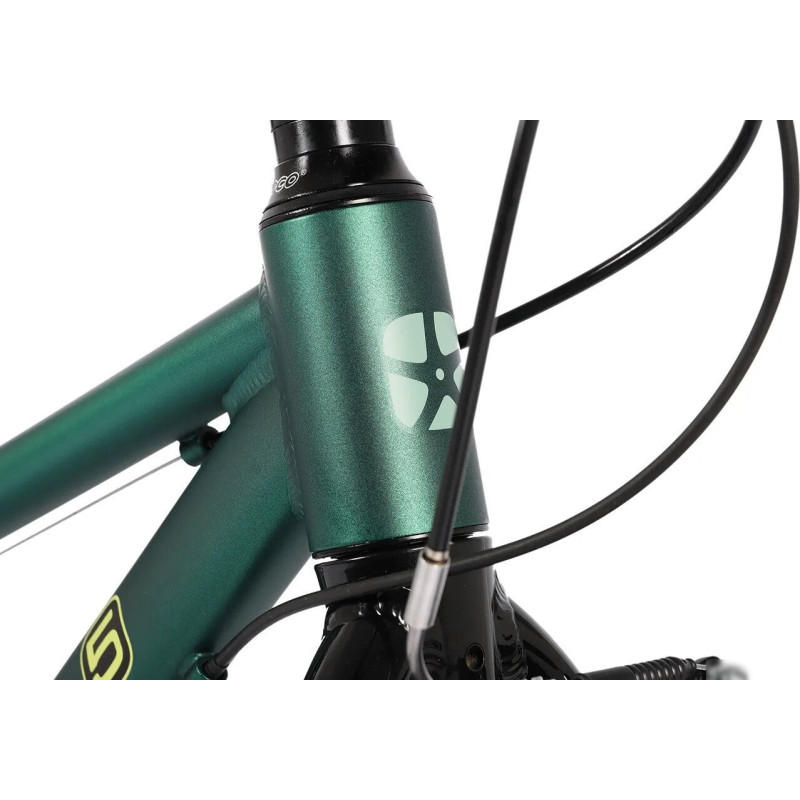 Maxiscoo 5Bike 24 2026 MSC-M5-2421 (зеленый матовый)
