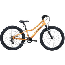 Велосипед Maxiscoo 5Bike 24 2026 MSC-M5-2423 (оранжевый матовый)