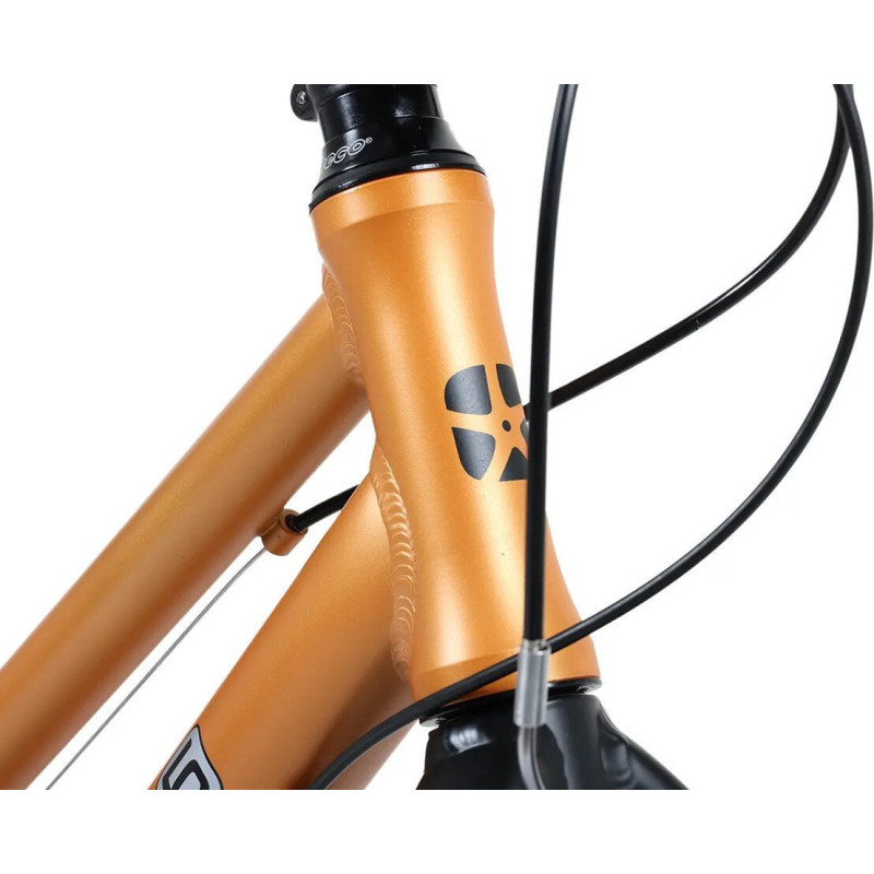 Maxiscoo 5Bike 24 2026 MSC-M5-2423 (оранжевый матовый)