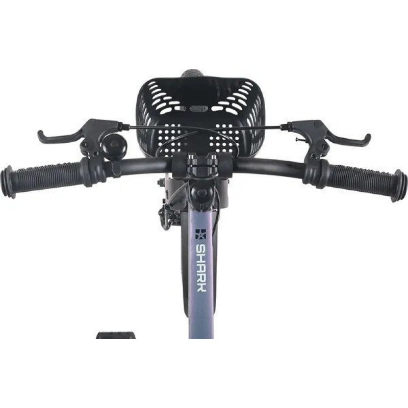 Maxiscoo Shark Pro 16 2026 MSC-SH1653P (хамелеон, разобранный)