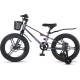 Maxiscoo Shark Pro 18 2026 MSC-SH1853P (хамелеон, разобранный)