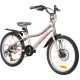 Novatrack Alice 20 2026 20SH6D.ALICE.GD6 (пыльная роза)