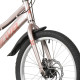 Novatrack Alice 20 2026 20SH6D.ALICE.GD6 (пыльная роза)