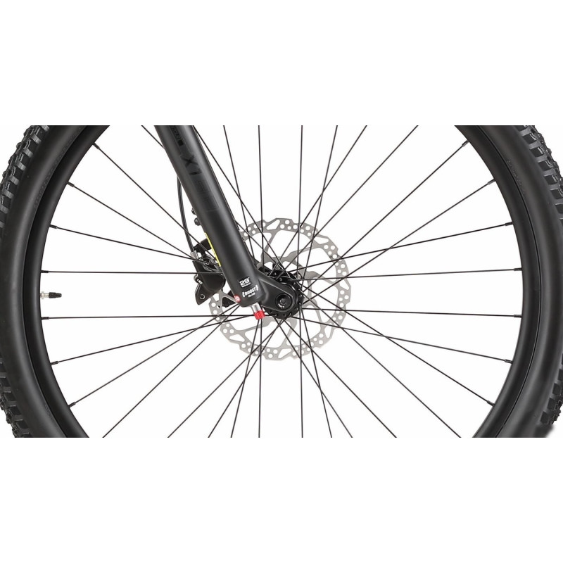Silverback SE:Series 10 29 L 2025 (matt metallic emerald)