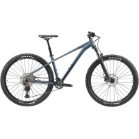 Велосипед Silverback SE:Series 12 29 L 2026 (matt glacier blue metallic)