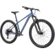 Silverback SE:Series 9 29 L 2025 (глубокий синий матовый/синий глянец)