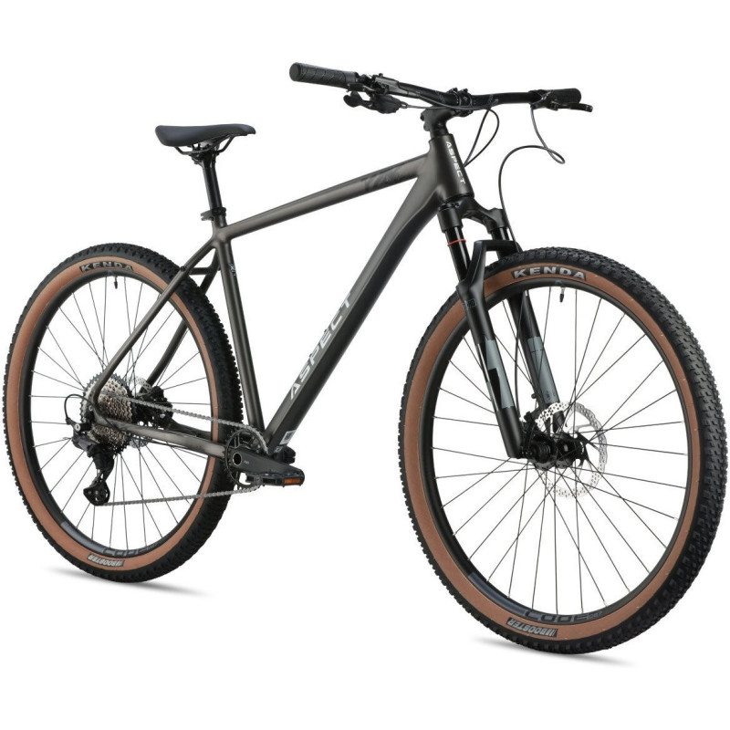 Aspect Big Boy 29 XXL 2026 (серый)