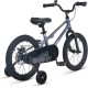Maxiscoo Shark Базовый Плюс 16 2026 MSC-SH1653B (хамелеон, разобранный)