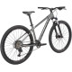 Silverback SE:Series 8 29 L 2026 (matt thunder grey/matt black)